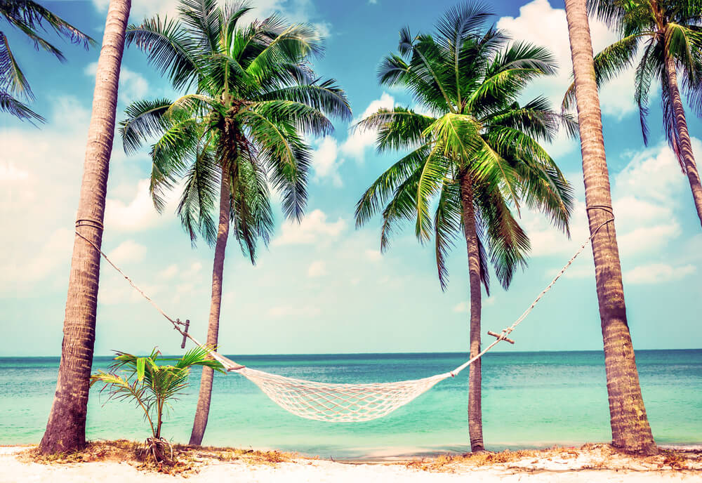 Your holiday budgeting guides from InsureandGo