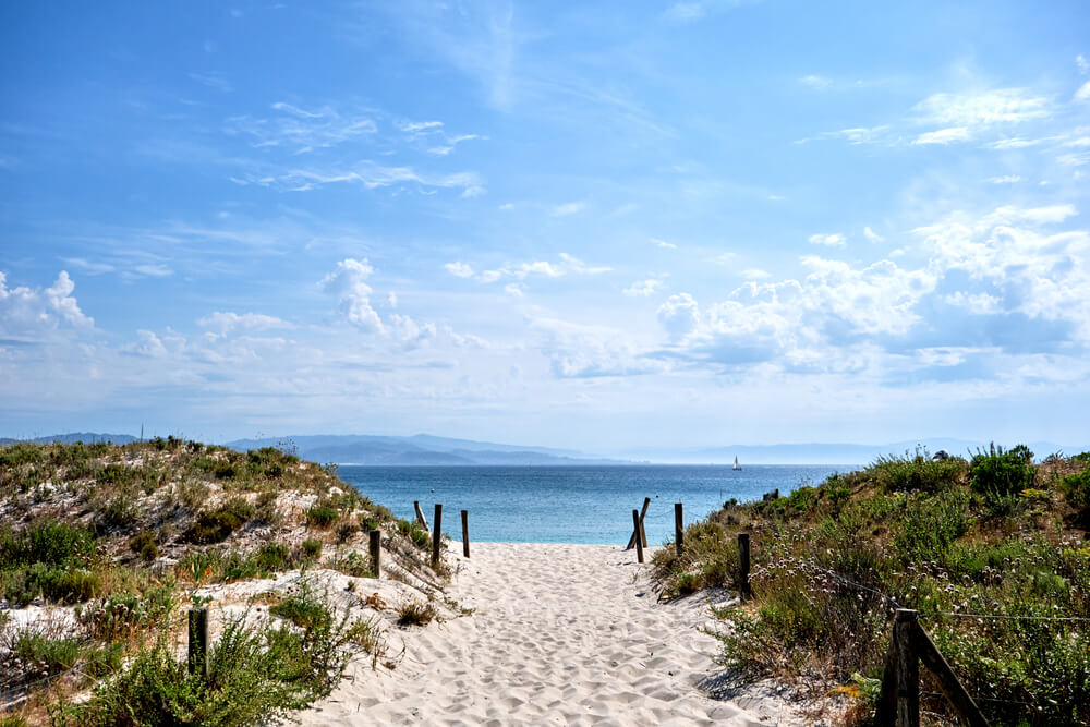 Leave only footprints: Your ultimate guides to sustainable travel